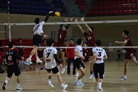 盗版通通闪开！正版《沙威玛传奇》“杀”回来了 ｜ 休闲新游周报